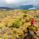 Mount Elgon National Park Uganda Hiking Safari