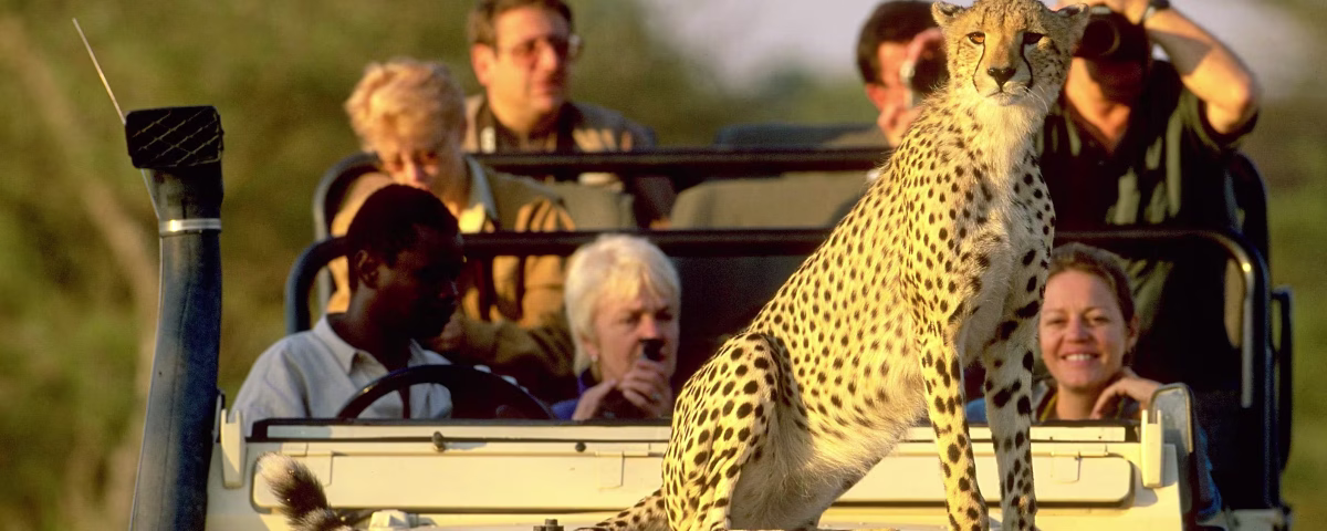 Which East African Country Has the Best Safari
