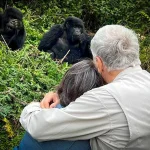 How Much Does It Cost to Go Gorilla Safari in Uganda 