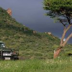 How Long Should the Safari Be in Masai Mara