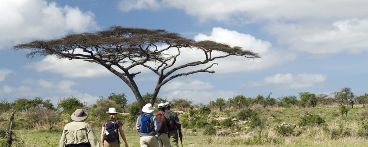 Why Not Wear White on Safari?