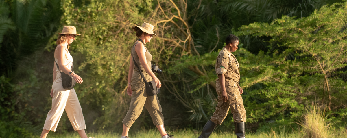How Much Is a Safari in Uganda?