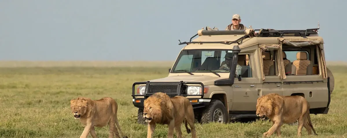 How Much Is a 3 Day Safari in Serengeti?