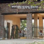 How Much Does It Cost to Enter Masai Mara National Park?