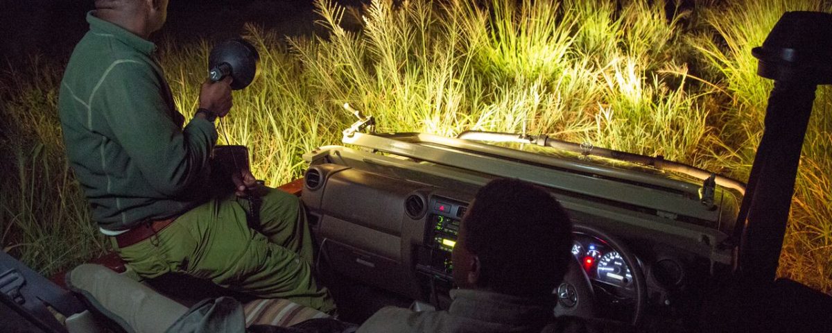 How Much Is a Night at Murchison Falls