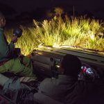 How Much Is a Night at Murchison Falls