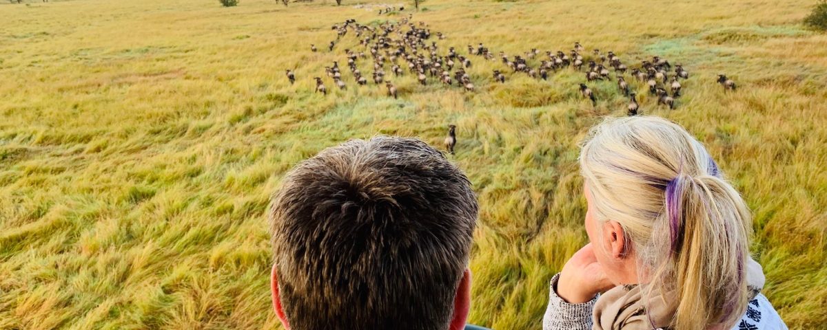 How Much Does a 4 Day Safari Cost?