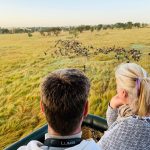 How Much Does a 4 Day Safari Cost?