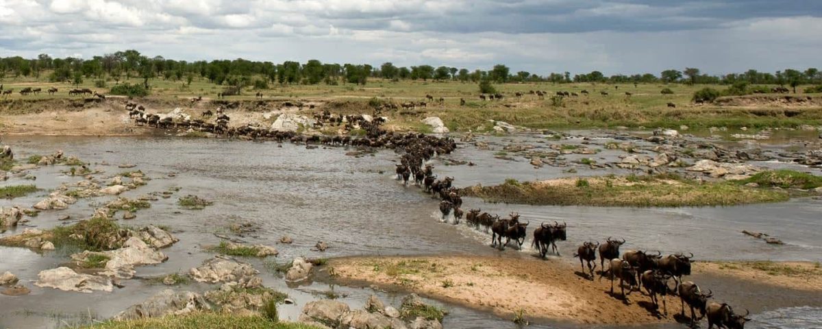 What Is the Best Month to Visit Serengeti?