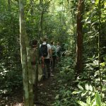 Is Uganda Safe for Tourists?