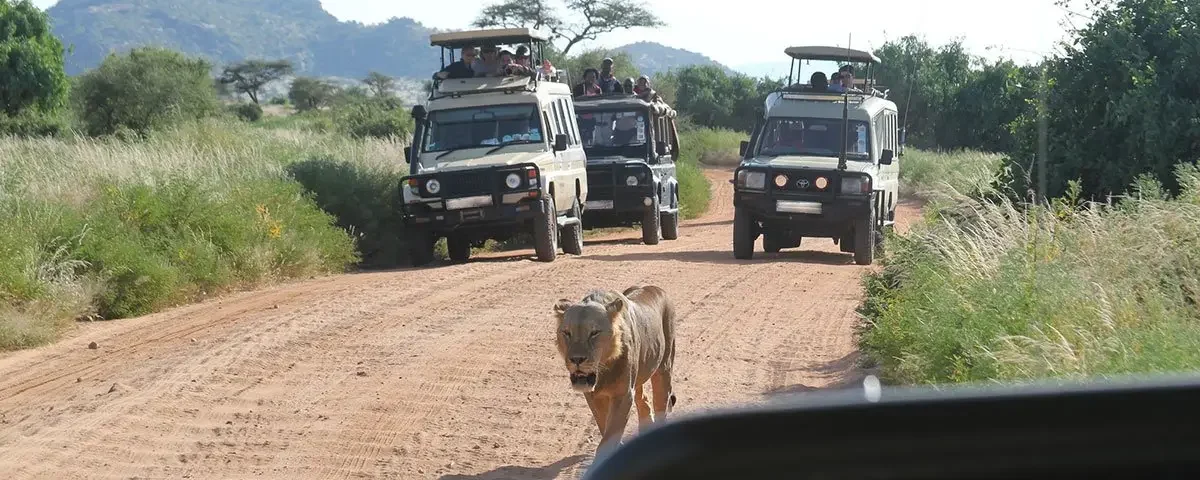 What’s Included in a Typical Uganda Safari Package?