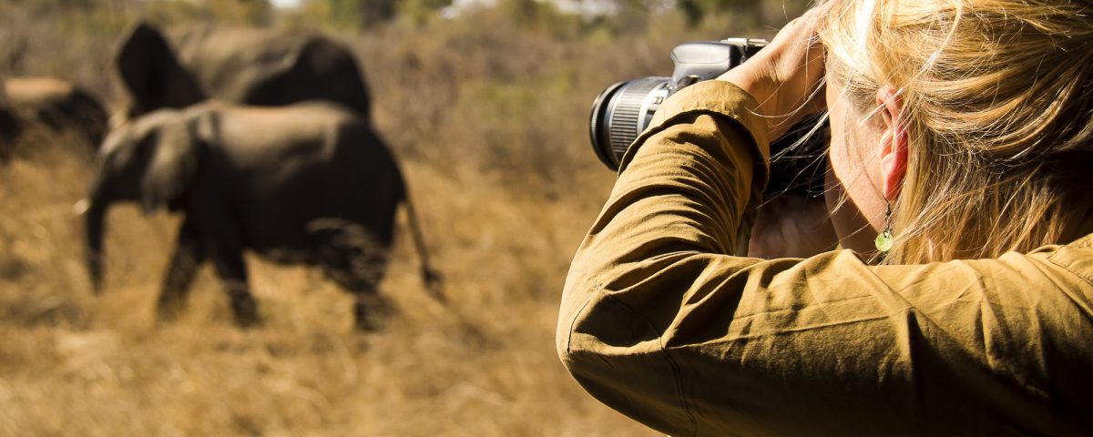 What Is the 12 Hour Rule for Masai Mara?