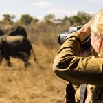What Is the 12 Hour Rule for Masai Mara?