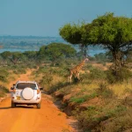 Can I Use Local Transport for Getting Around Uganda?