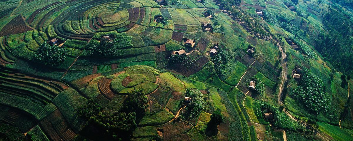 How Do I Get to Uganda for a Safari?