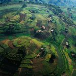 How Do I Get to Uganda for a Safari?