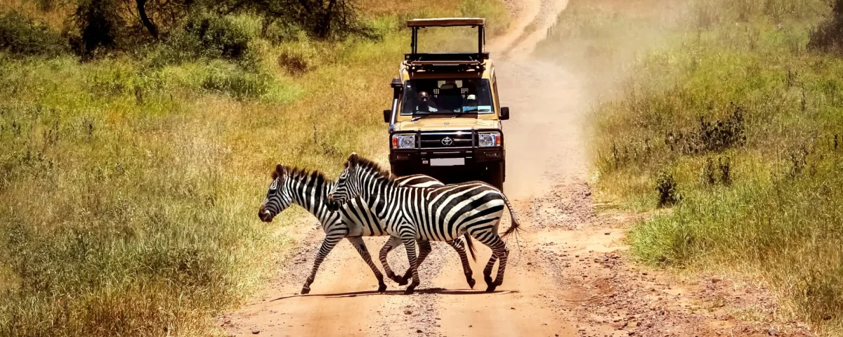 How Long Does a Game Drive Take?