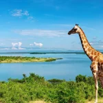 What’s the Best Time for Hiking in Uganda?
