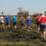 What Is the Best Age to Go on a Safari?