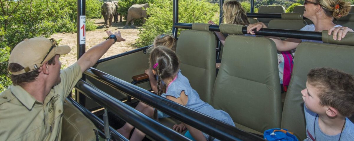 Are There Family-Friendly Safaris in Uganda?