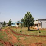 What’s the Best Way to Support Local Ugandan Communities? 