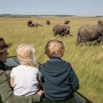Can I Do a Safari in Uganda with Kids?