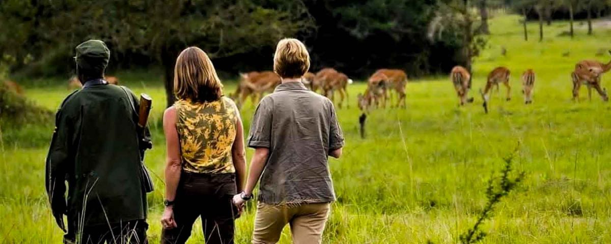 Can I Do a Private Safari in Uganda? 
