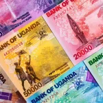 What’s the Best Currency to Use in Uganda?
