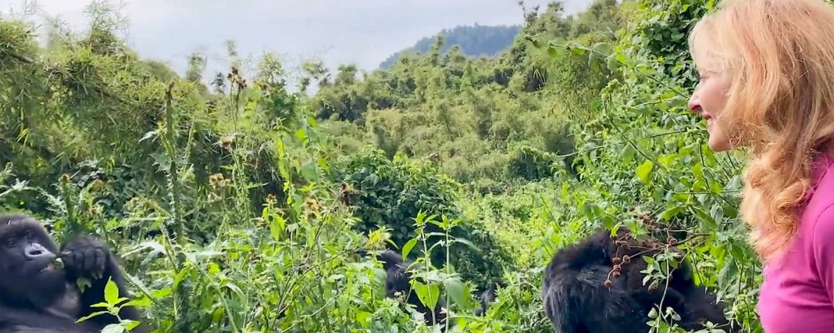 How Far Do You Have to Be From Gorillas Trekking? 