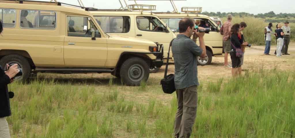 Can I Get Guided Tours in Uganda?