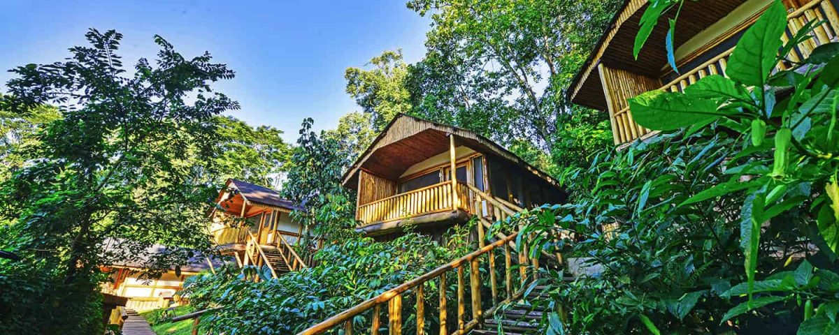 What’s the Accommodation Like in Uganda’s National Parks?