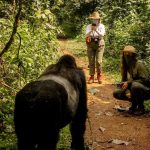 When Should I Go Gorilla Trekking in Rwanda?