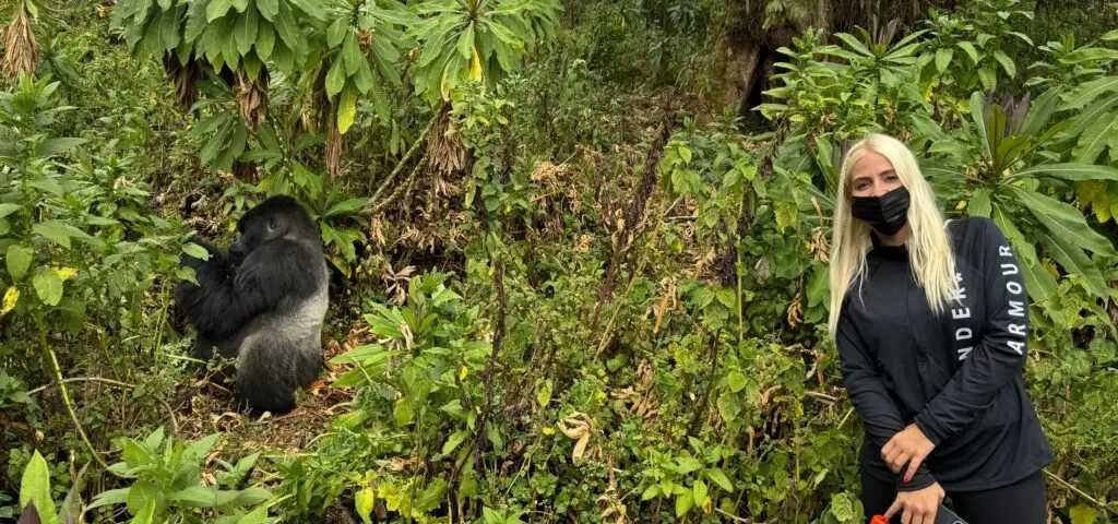 How Difficult Is Gorilla Trekking in Rwanda?