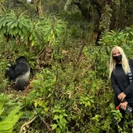 How Difficult Is Gorilla Trekking in Rwanda?