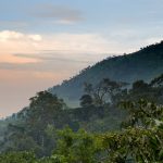 How Large is Bwindi National Park? 