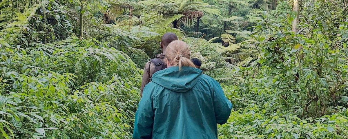 How Does the Pacing of an 8-to-10-Day Itinerary Handle the Transition from High-Altitude Jungles to Low-Altitude Savannahs?