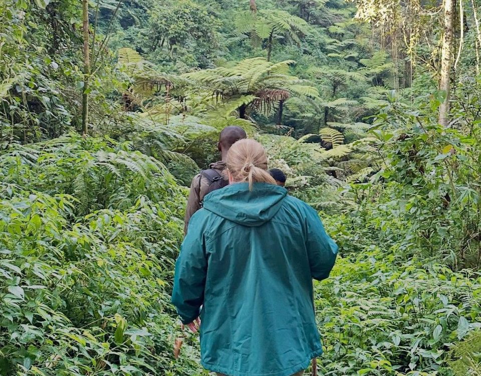 How Does the Pacing of an 8-to-10-Day Itinerary Handle the Transition from High-Altitude Jungles to Low-Altitude Savannahs?