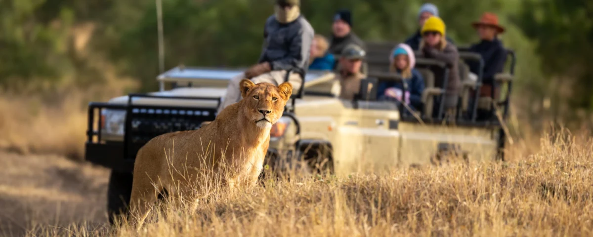 Safari Travel Insurance & Policies: Handling Weather Flight Delays