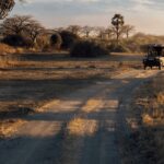 Ultimate Schedule Freedom vs. Fixed Group Itineraries