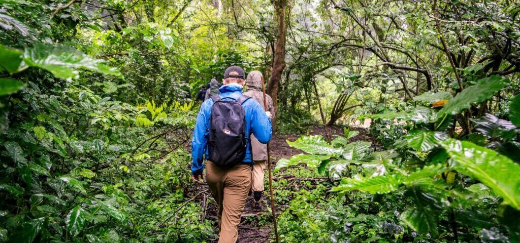 Best Time for East Africa Safari: Avoid Rainforest Heavy Rains