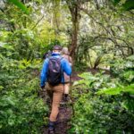 Best Time for East Africa Safari: Avoid Rainforest Heavy Rains