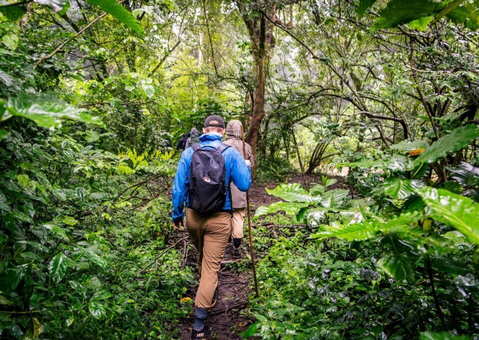 Best Time for East Africa Safari: Avoid Rainforest Heavy Rains