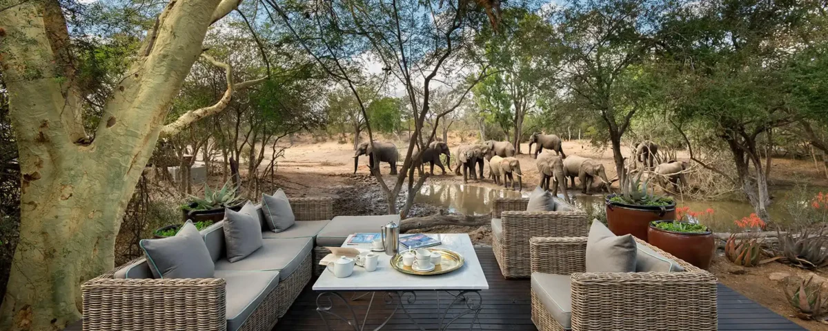 Ultra-Luxury Safari Inclusions: Premium Spirits, Fine Wines & Artisanal Beers
