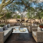 Ultra-Luxury Safari Inclusions: Premium Spirits, Fine Wines & Artisanal Beers