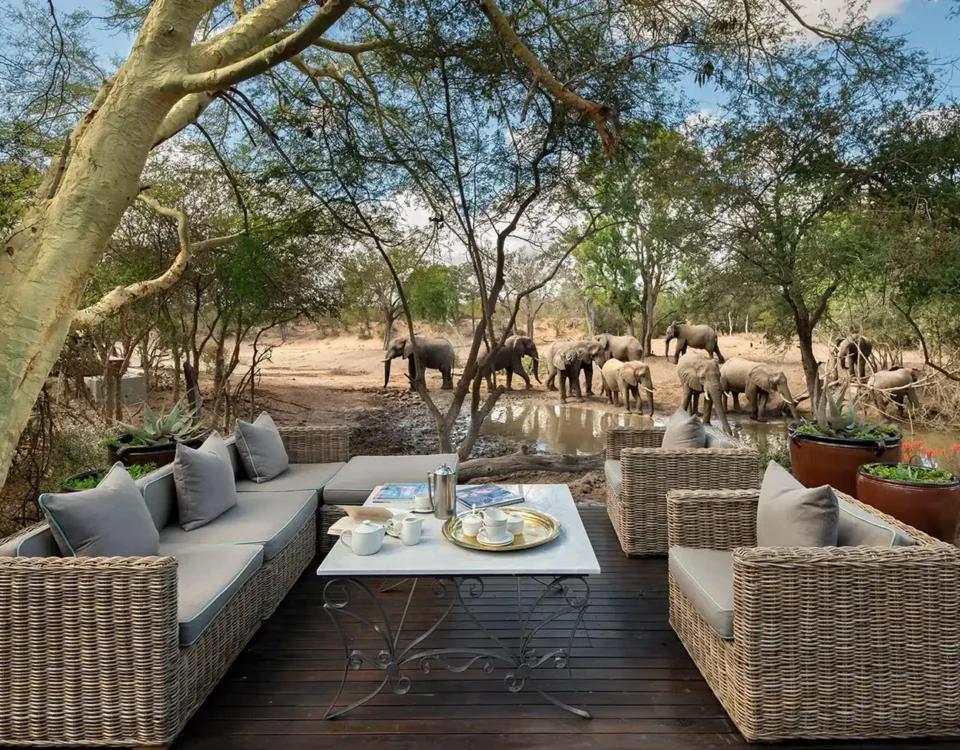 Ultra-Luxury Safari Inclusions: Premium Spirits, Fine Wines & Artisanal Beers