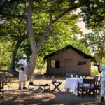 The Silent Conductor of Luxury: The Role of a Private Butler in Customizing Safari Itineraries and Comfort