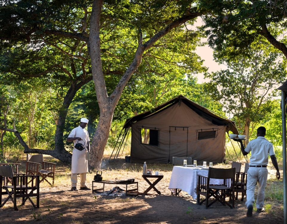 The Silent Conductor of Luxury: The Role of a Private Butler in Customizing Safari Itineraries and Comfort