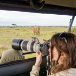 Stability in the Field: Camera Mounts and Beanbags in Luxury Safari Vehicles