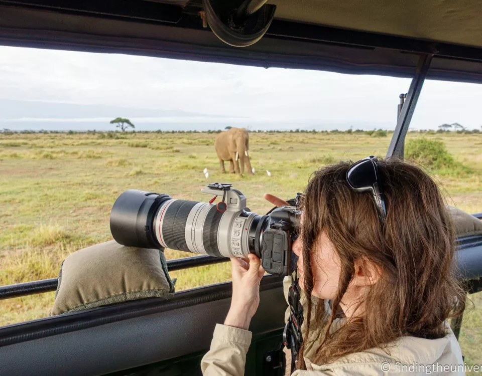 Stability in the Field: Camera Mounts and Beanbags in Luxury Safari Vehicles