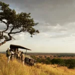 Exclusivity Comparison: Singita Grumeti Reserve vs. Serengeti Park